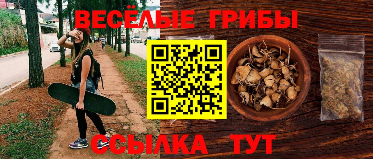 купить закладку  Вход с VPN  Оренбург  Псилоцибиновые грибы Psilocybe 